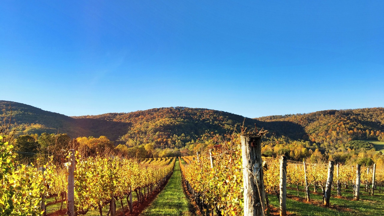 Photo of Outdoor in Afton
