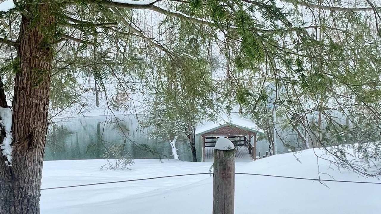 Photo of Outdoor in Maysel