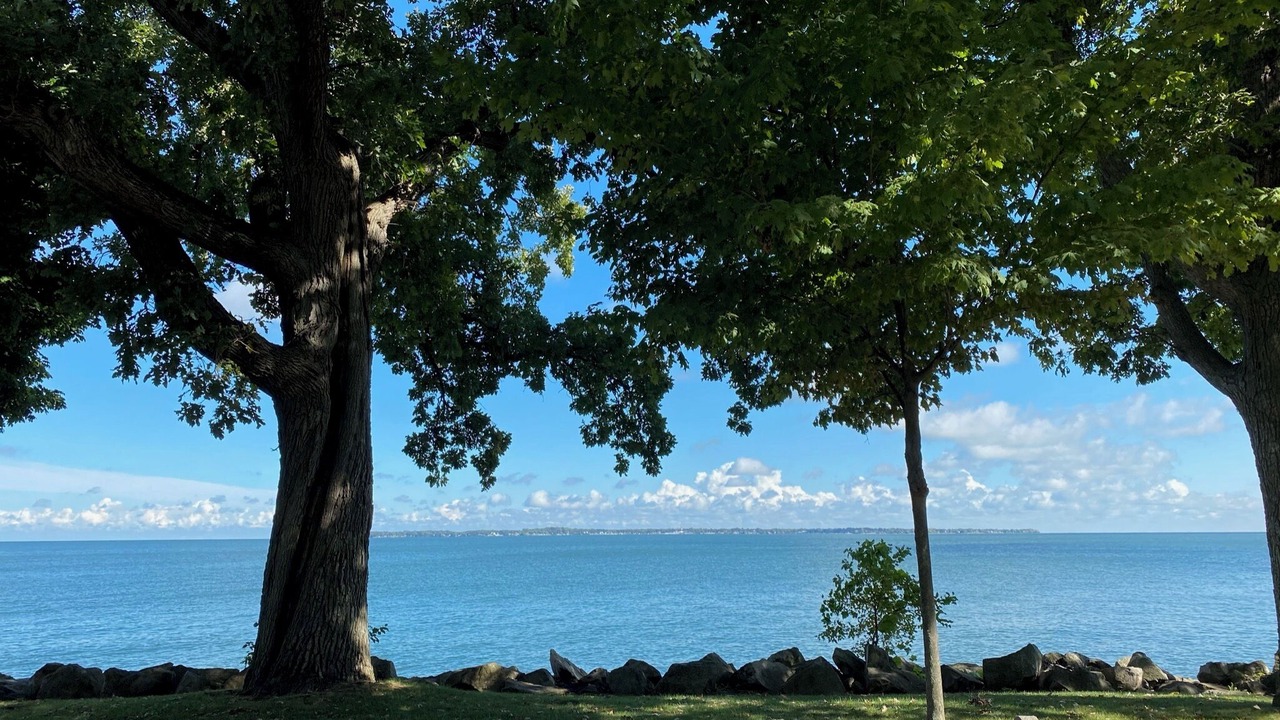 Photo of Others in Lakeside