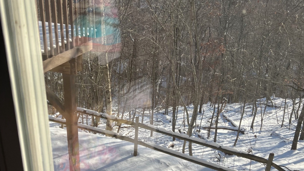 Photo of Others in Bushkill