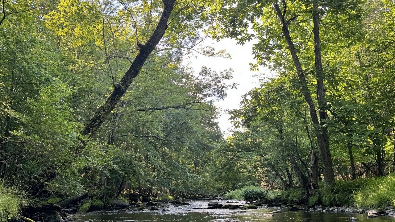 Photo of Others in Bushkill
