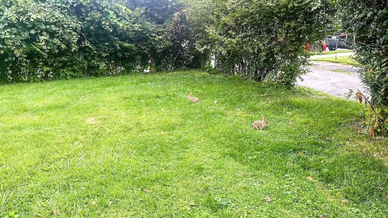 Photo of Outdoor in Shillington