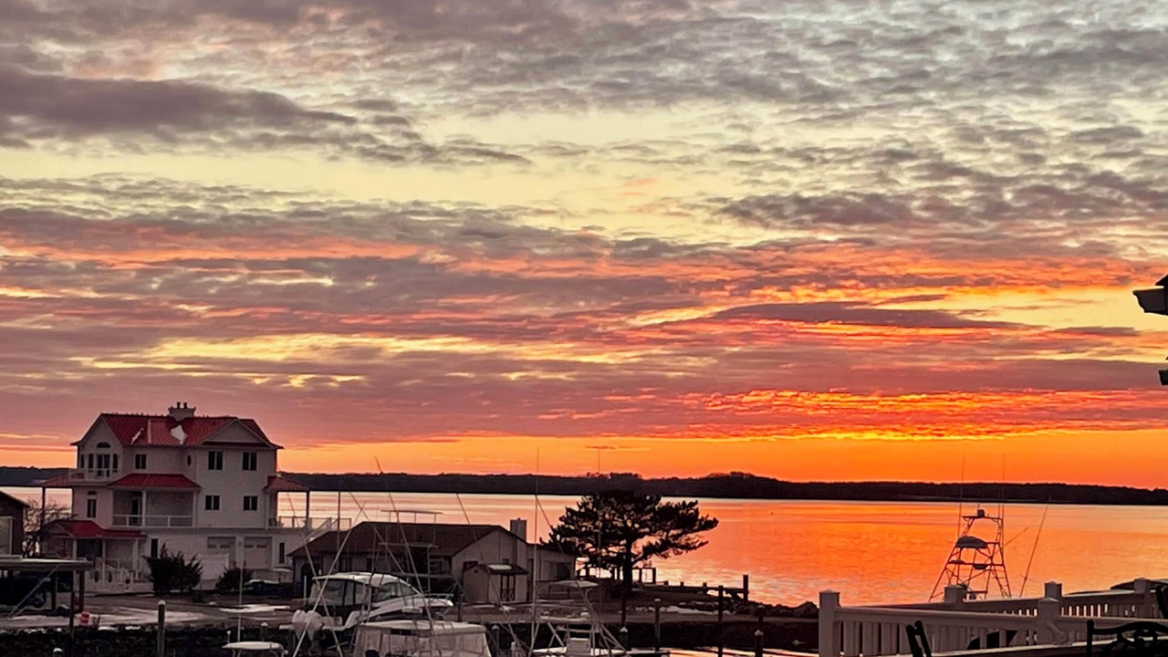 Photo of Others in Bethany Beach