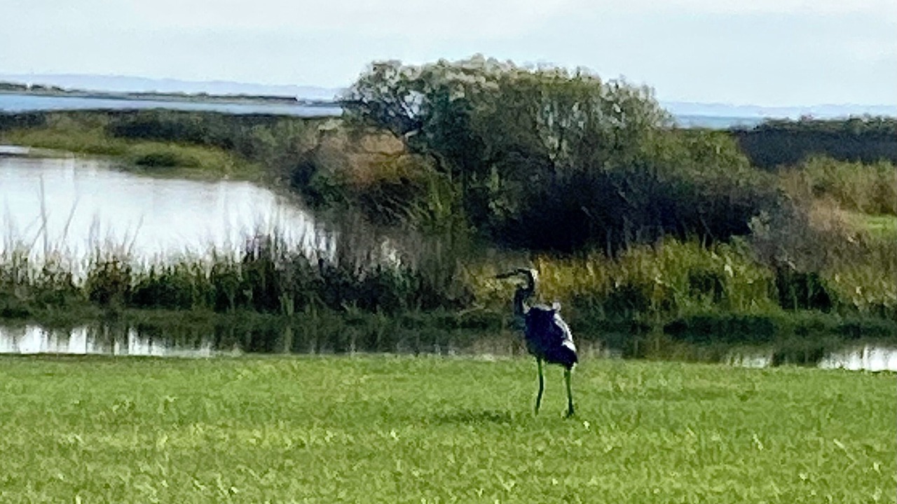 Photo of Others in Fishing Creek