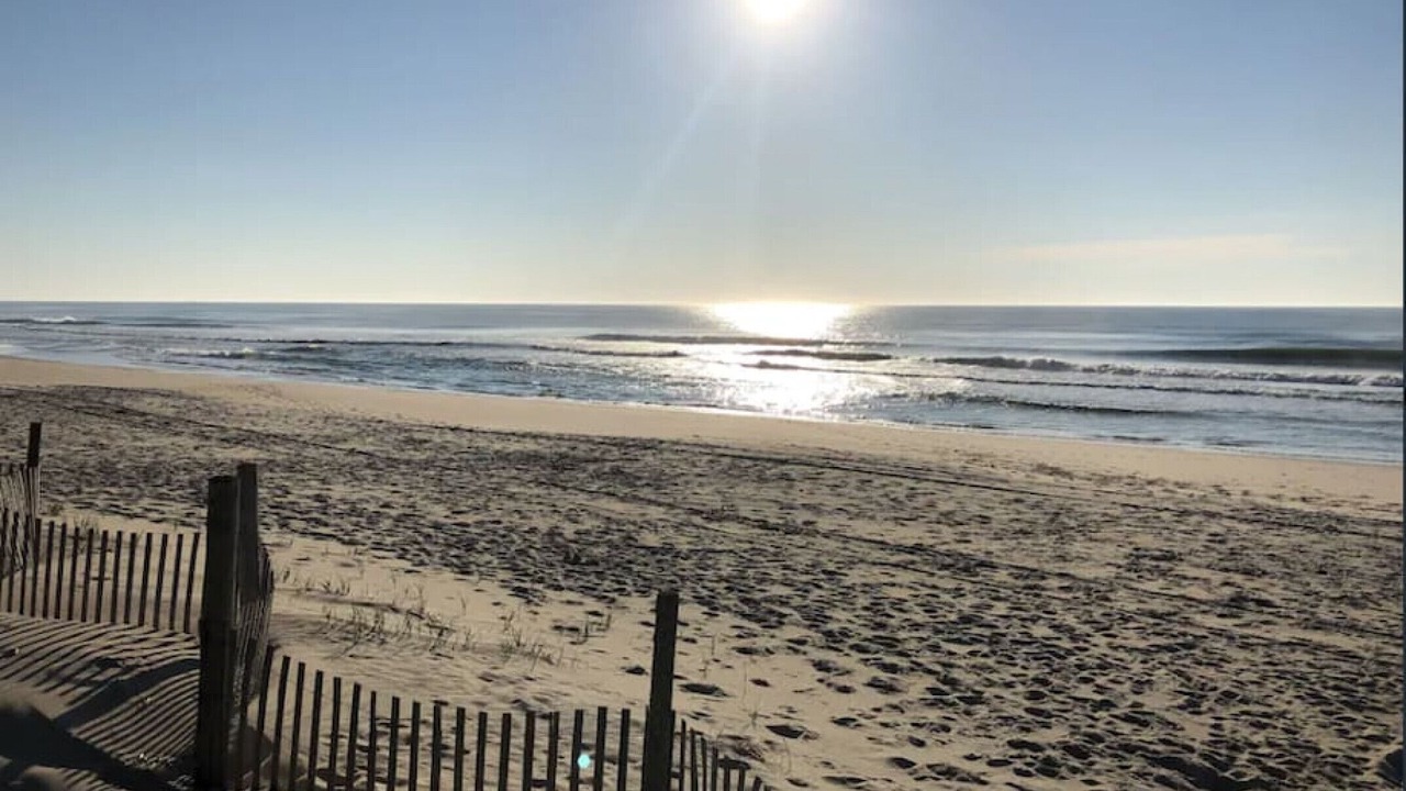 Photo of Others in Beach Haven