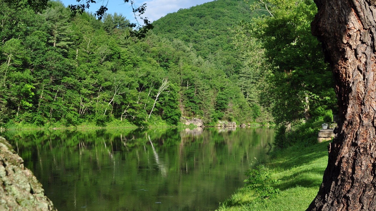 Photo of Others in Jersey Mills