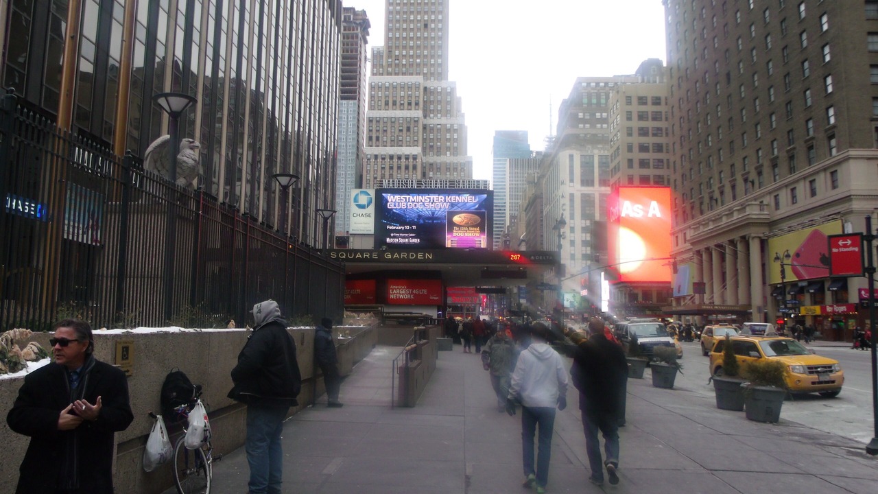 Photo of Outdoor in Harlem