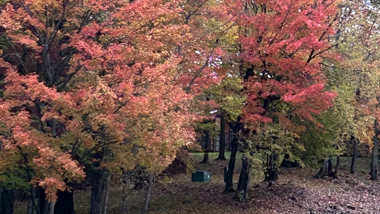 Photo of Outdoor in Seven Springs