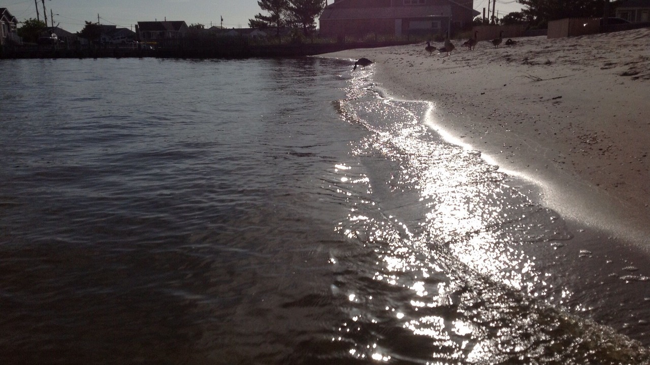 Photo of Others in Lavallette
