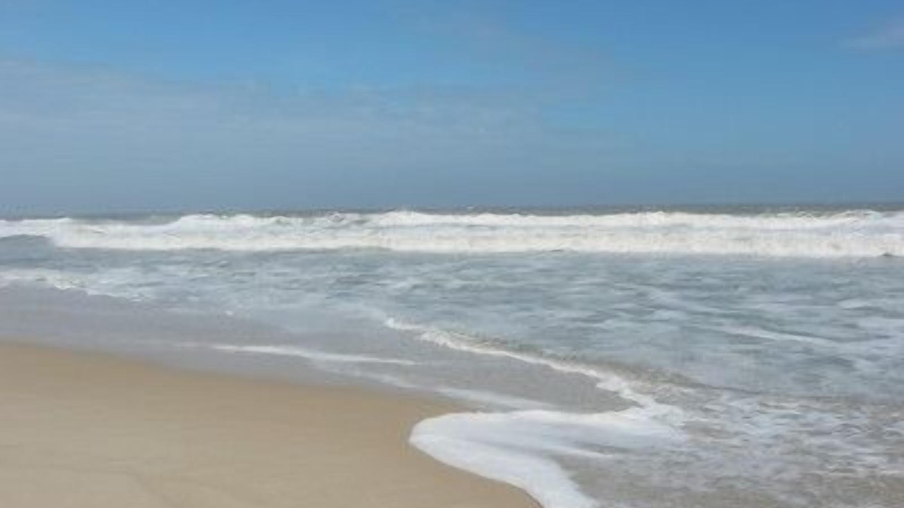 Photo of Others in Lavallette
