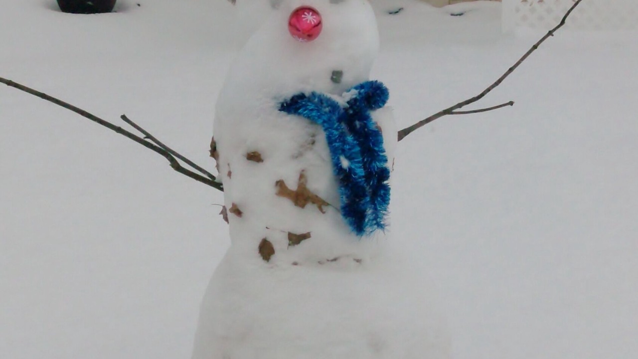 Photo of Others in North Belle Vernon