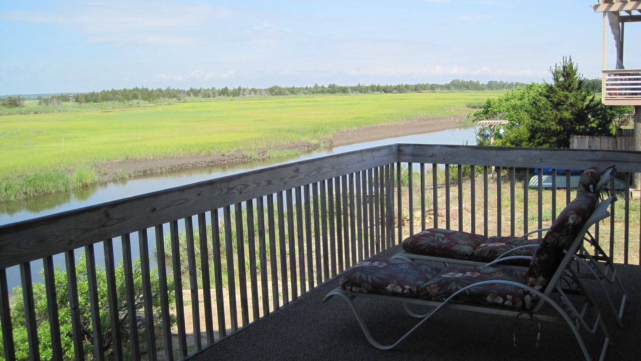 Photo of Outdoor in Broadkill Beach