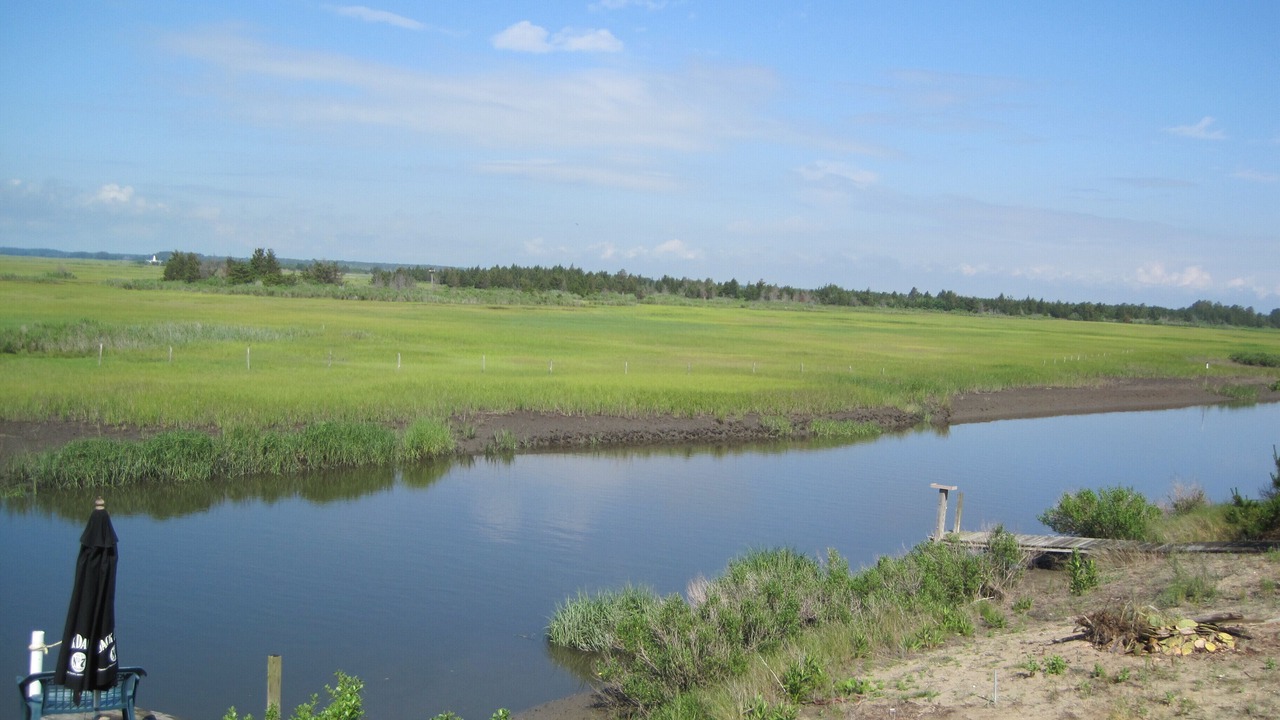 Photo of Others in Broadkill Beach