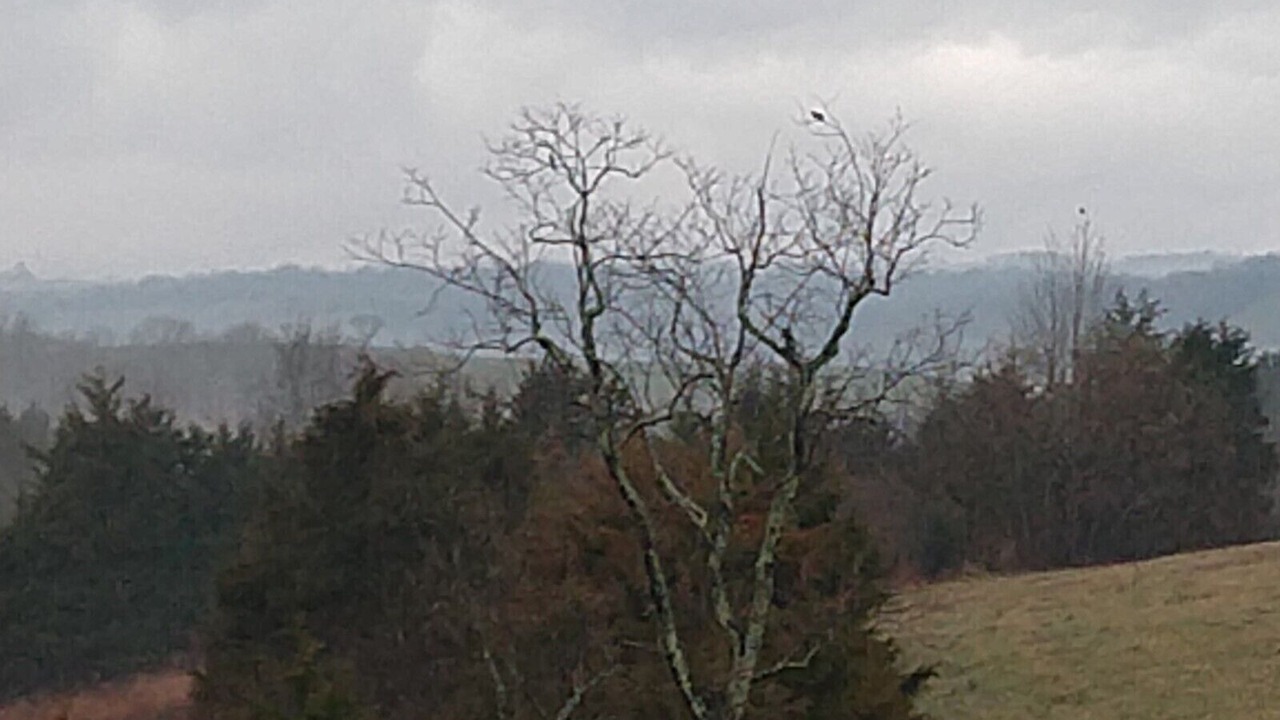 Photo of Outdoor in Hillsboro