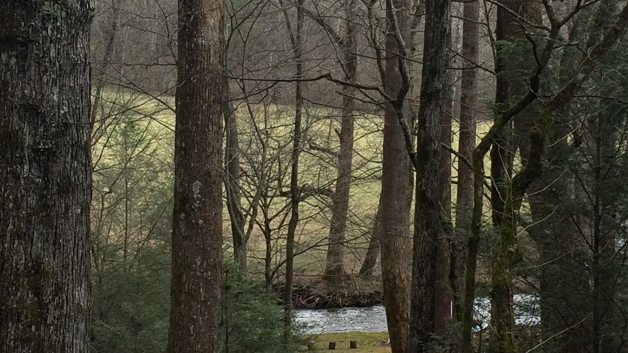 Photo of Outdoor in Tanglewood