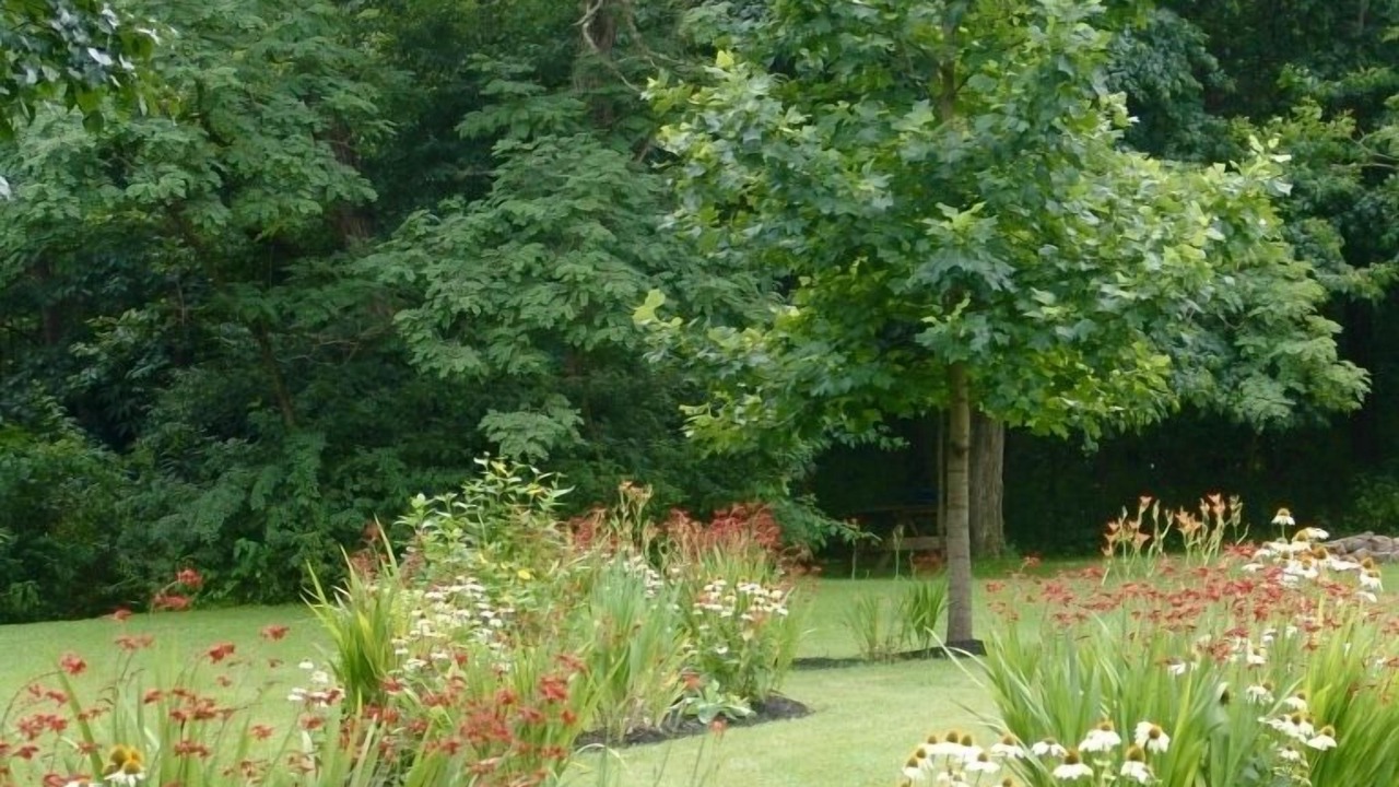 Photo of Outdoor in Confluence