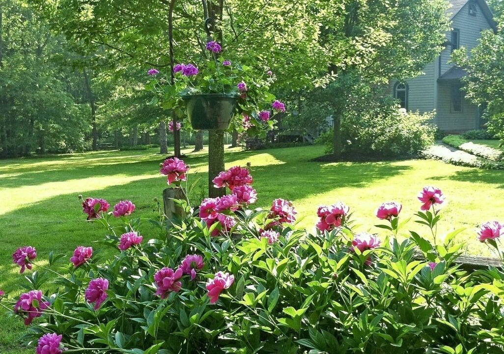 Photo of Outdoor in Confluence