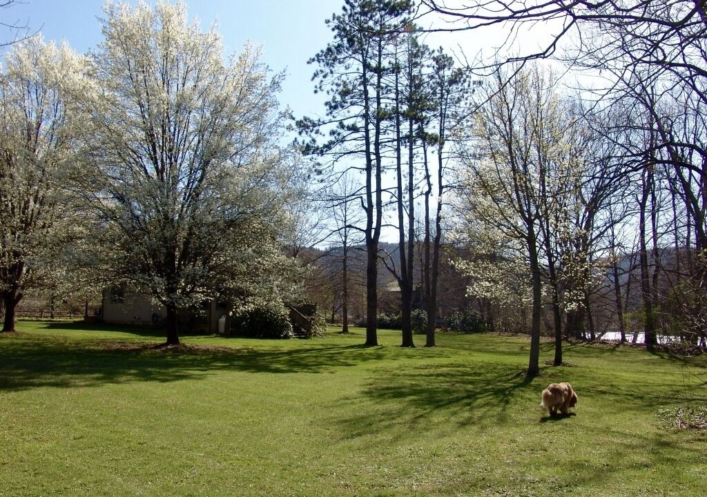 Photo of Outdoor in Confluence