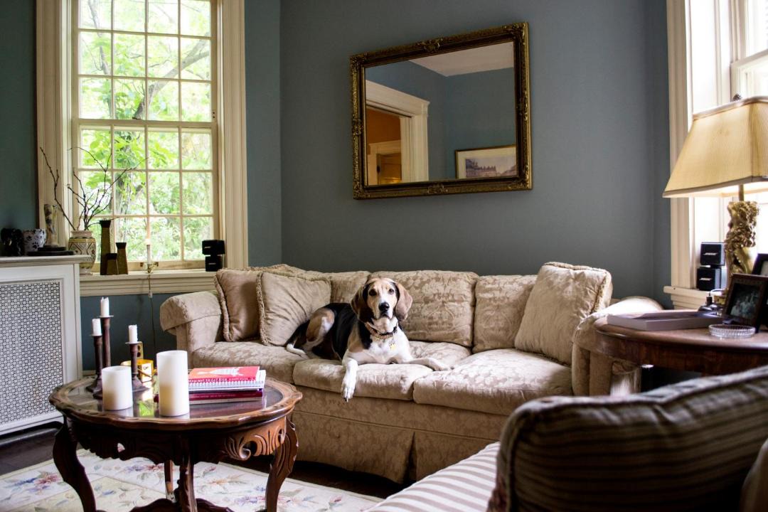 Photo of Livingroom in Ohio City