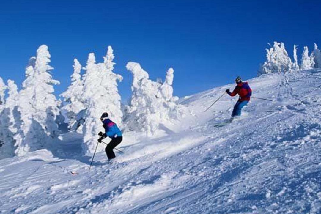 Photo of Others in Tannersville