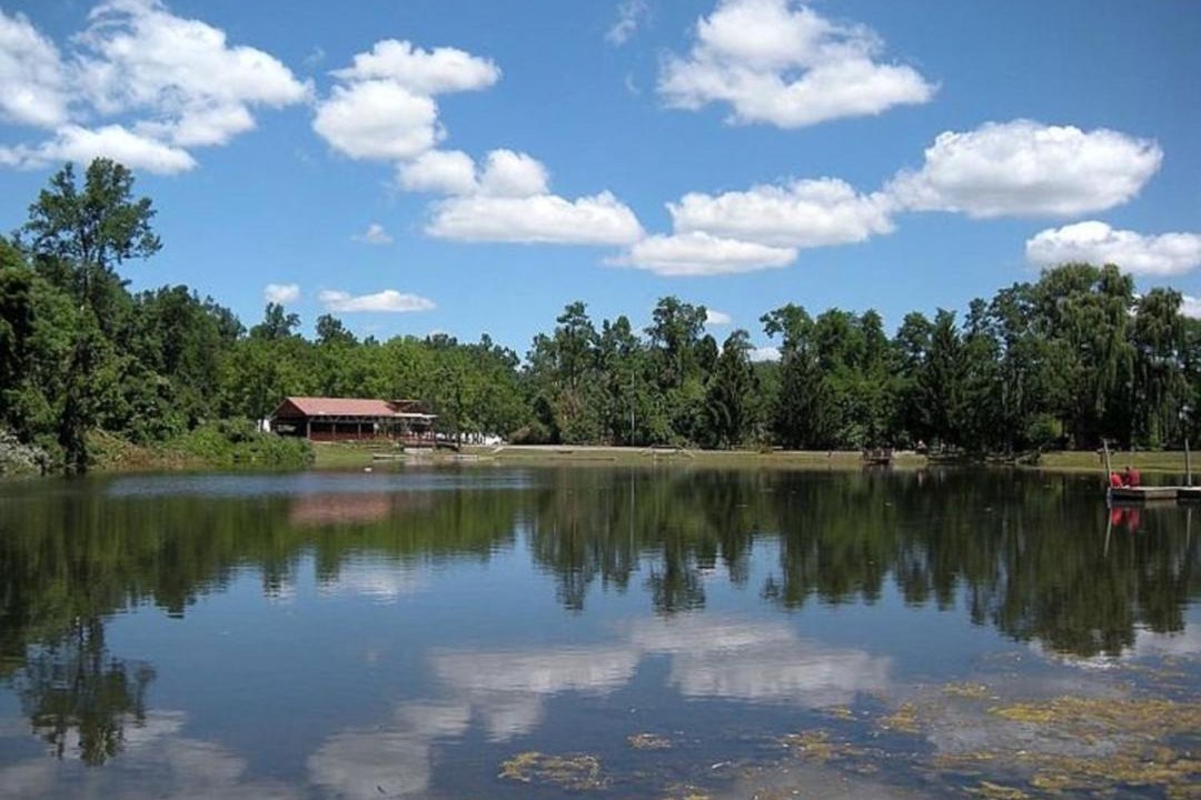 Photo of Others in Lebanon - Pine Grove