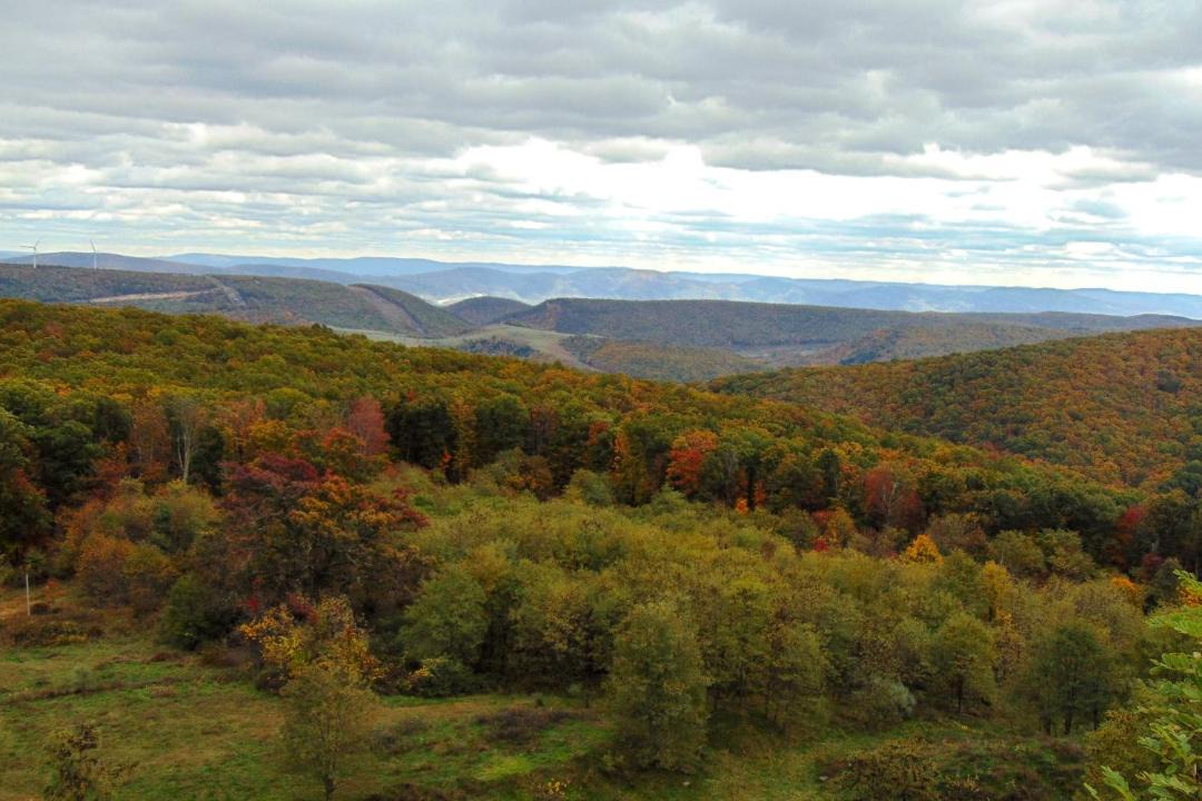 Photo of Others in Wardensville