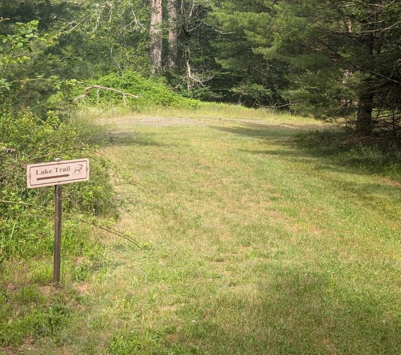 Photo of Others in Forestburgh