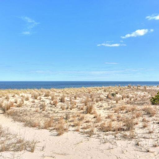 Photo of Others in South Rehoboth