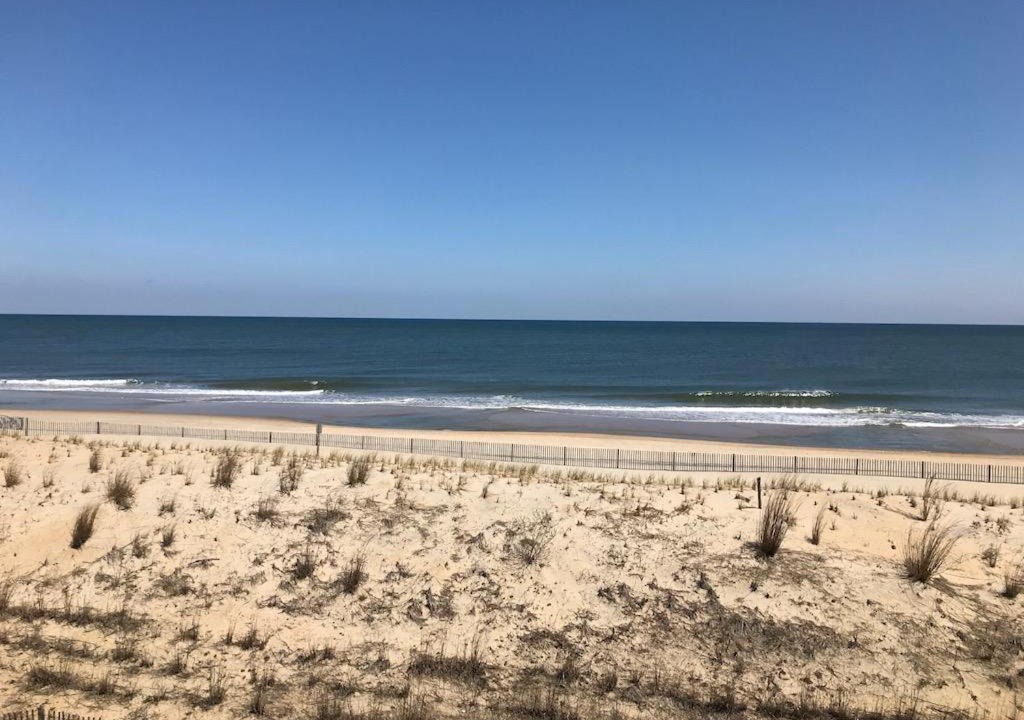 Photo of Others in Dewey Beach