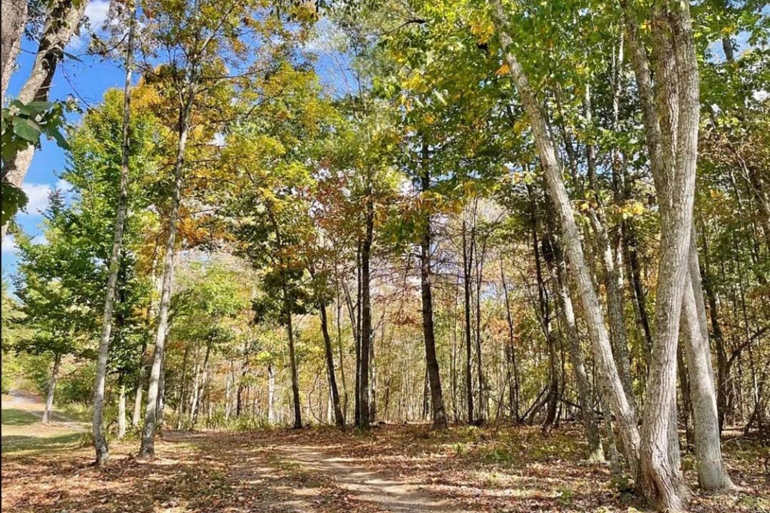 Photo of Outdoor in Nimitz