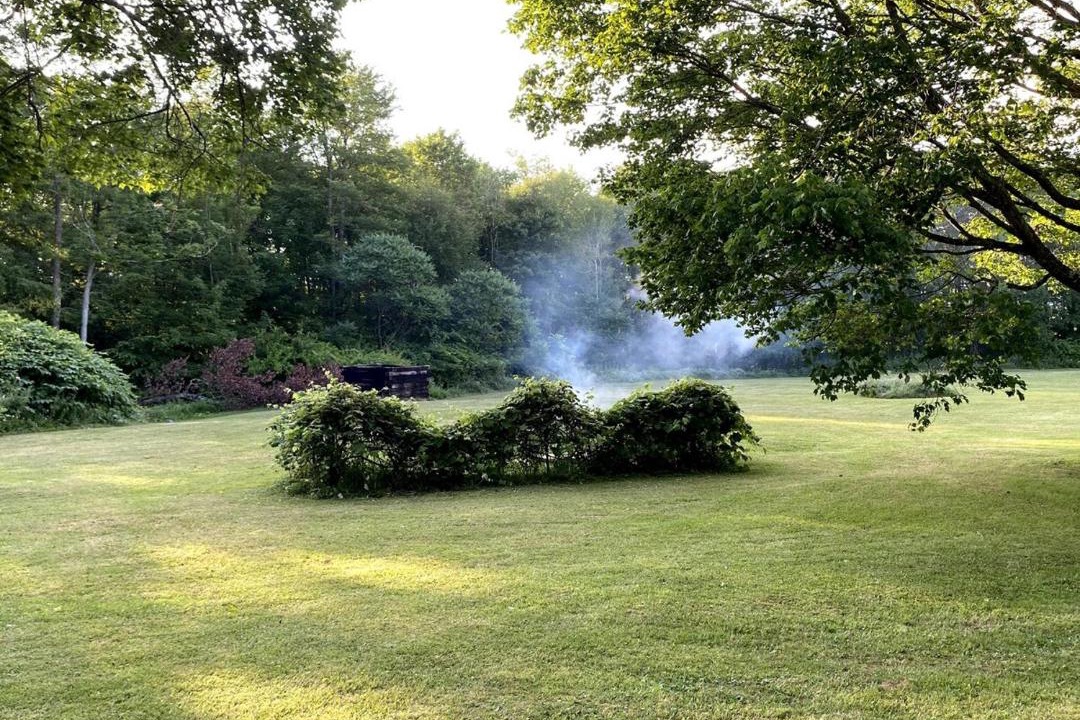 Photo of Outdoor in Marienville