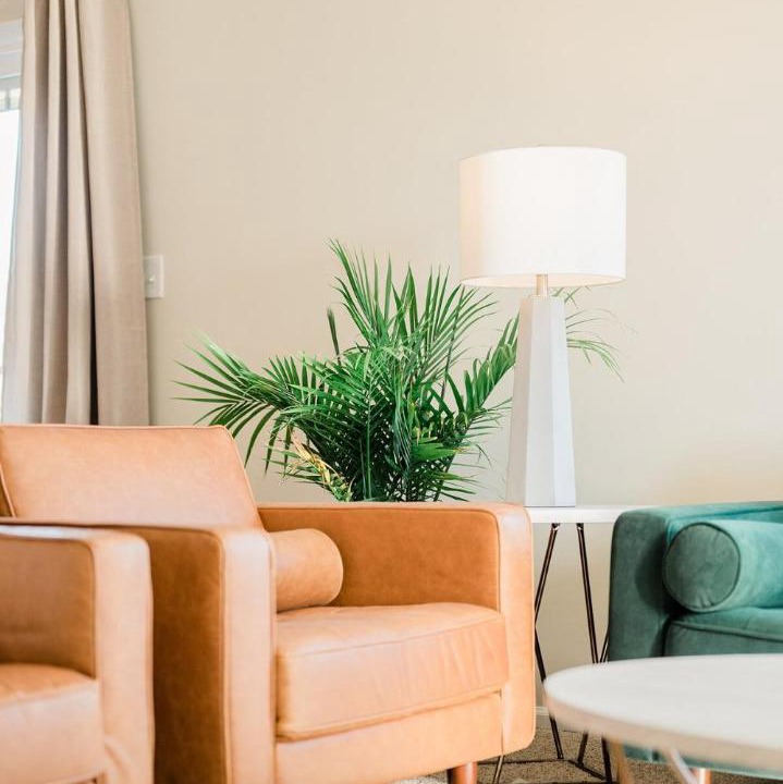 Photo of Livingroom in Springfield