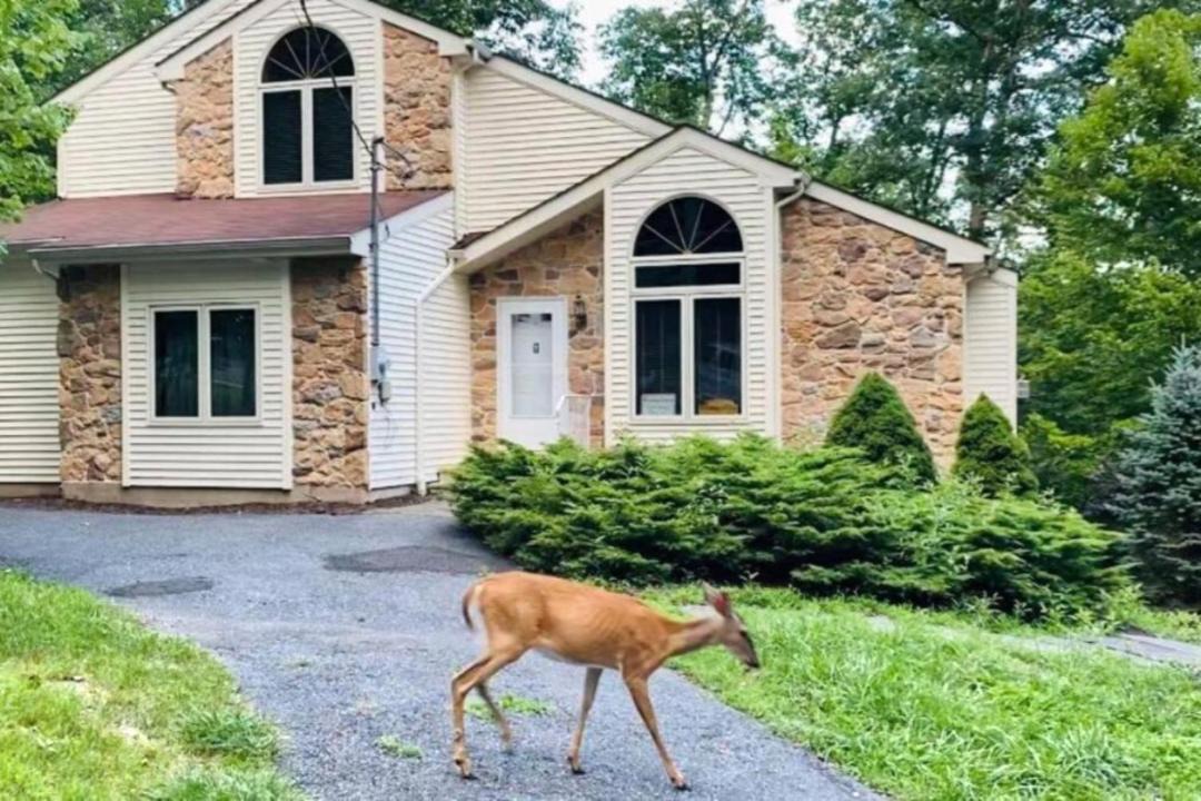 Photo of Others in Bushkill