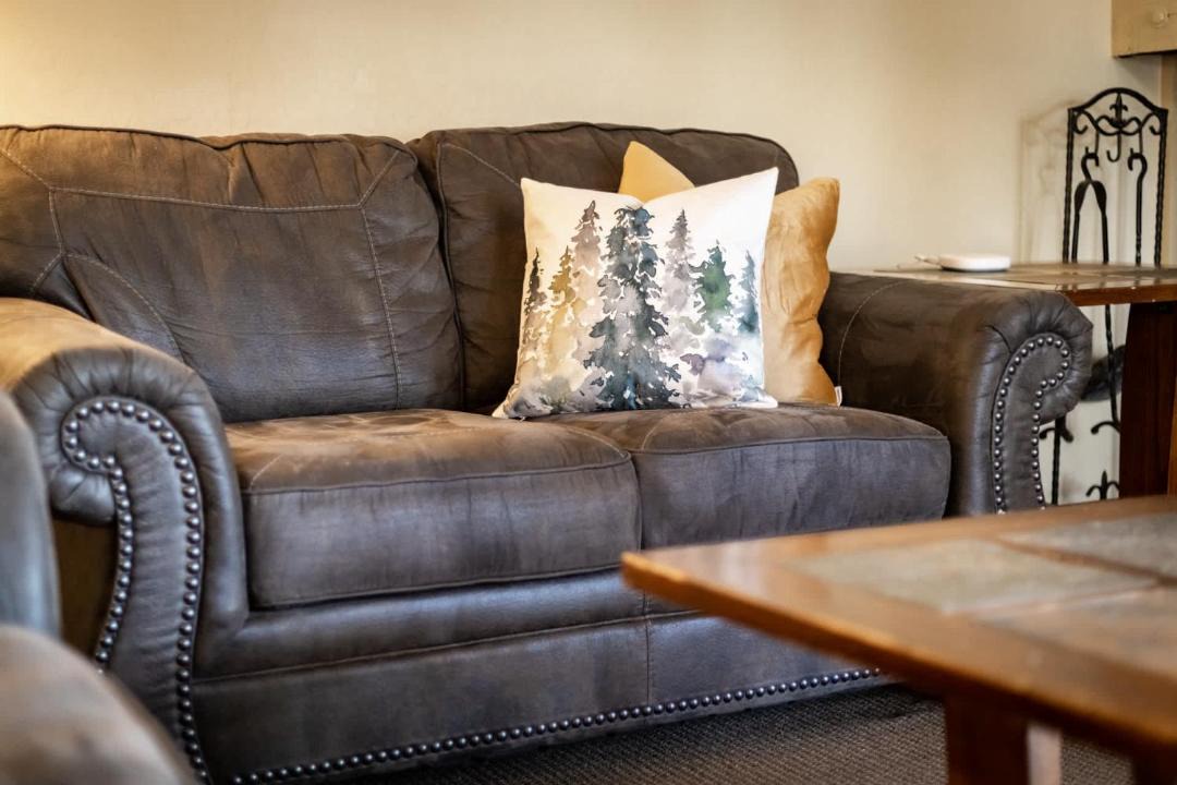 Photo of Livingroom in South Lake Tahoe
