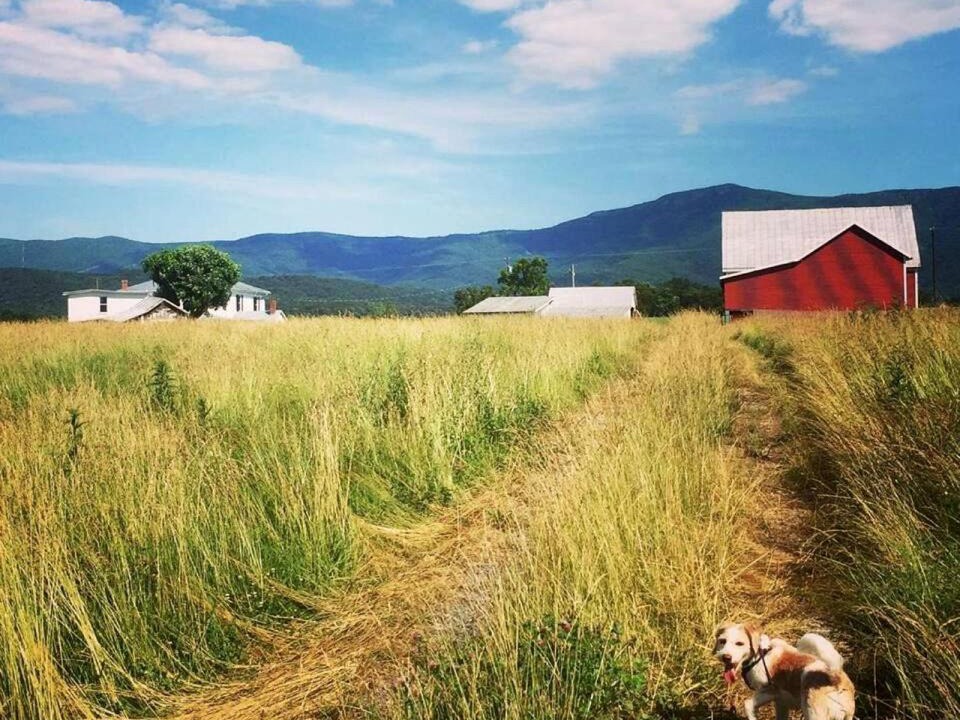 Photo of Others in Luray