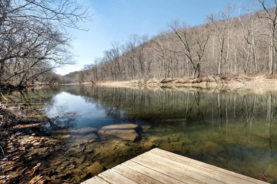 Photo of Others in Great Cacapon
