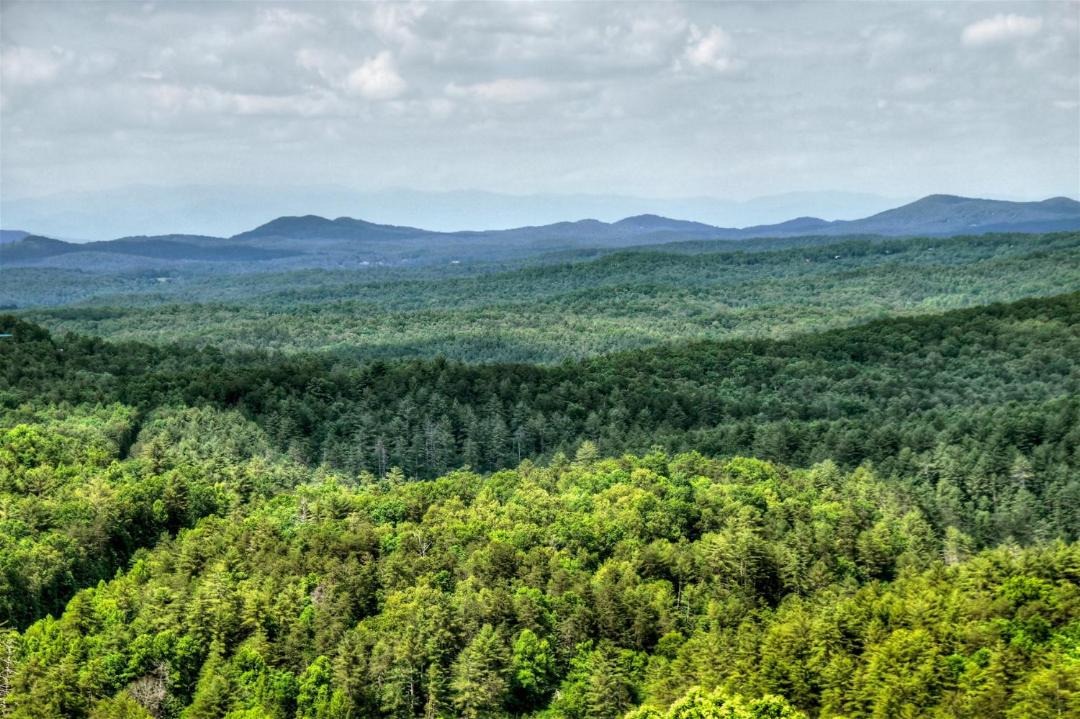 Photo of Others in Raccoon Ridge