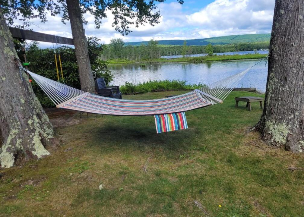 Photo of Others in Lake Ariel