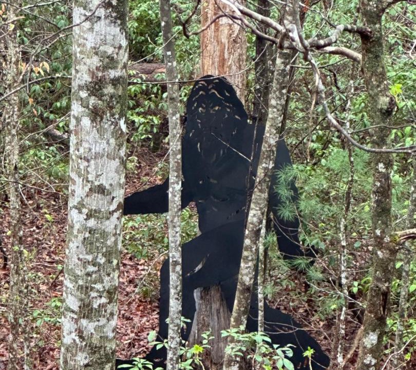 Photo of Human In Picture in Sautee Nacoochee