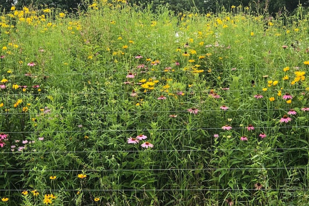 Photo of Outdoor in Bloomington