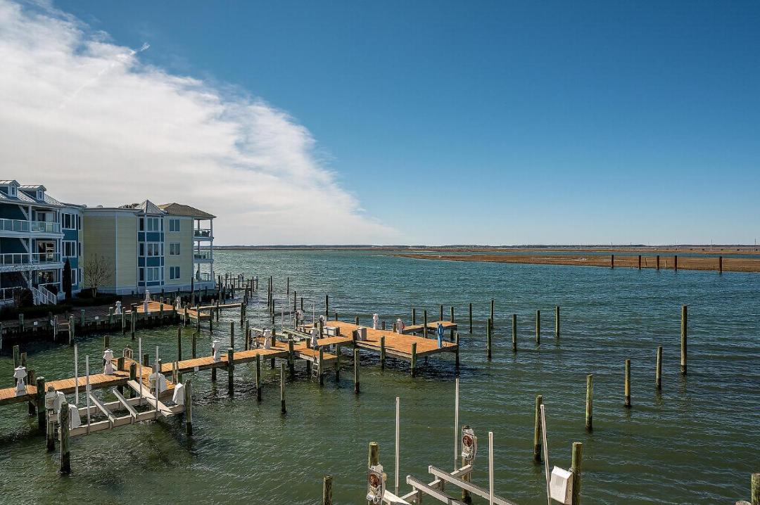 Photo of Others in Chincoteague