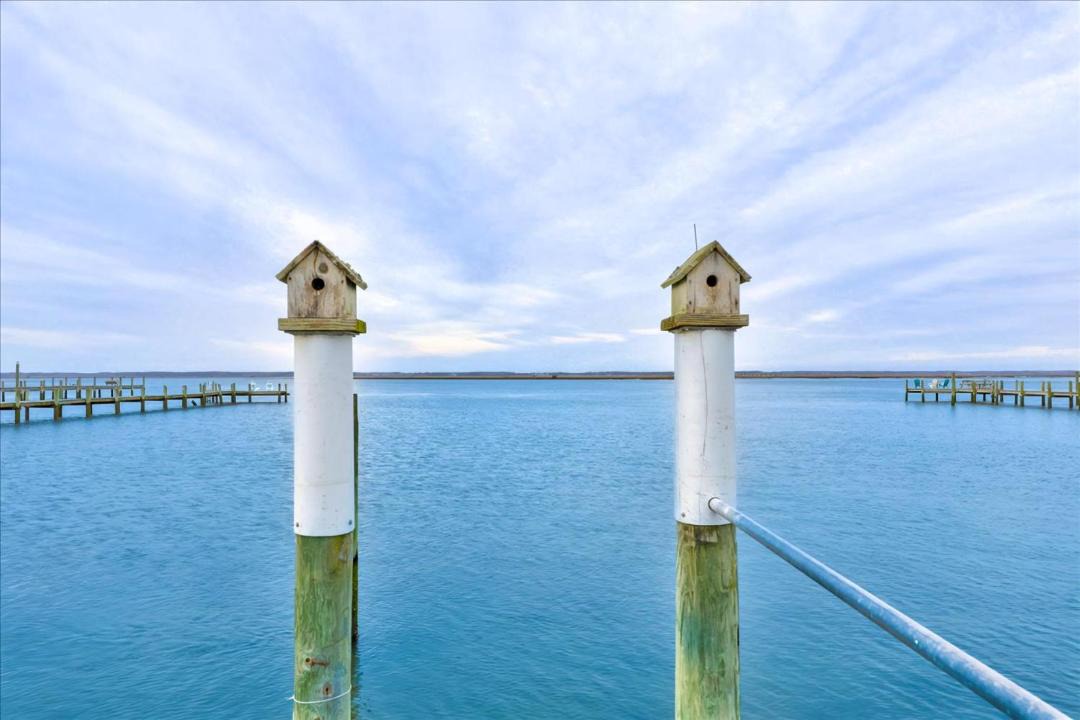 Photo of Others in Chincoteague