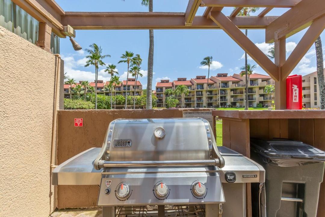 Photo of Others in Kihei