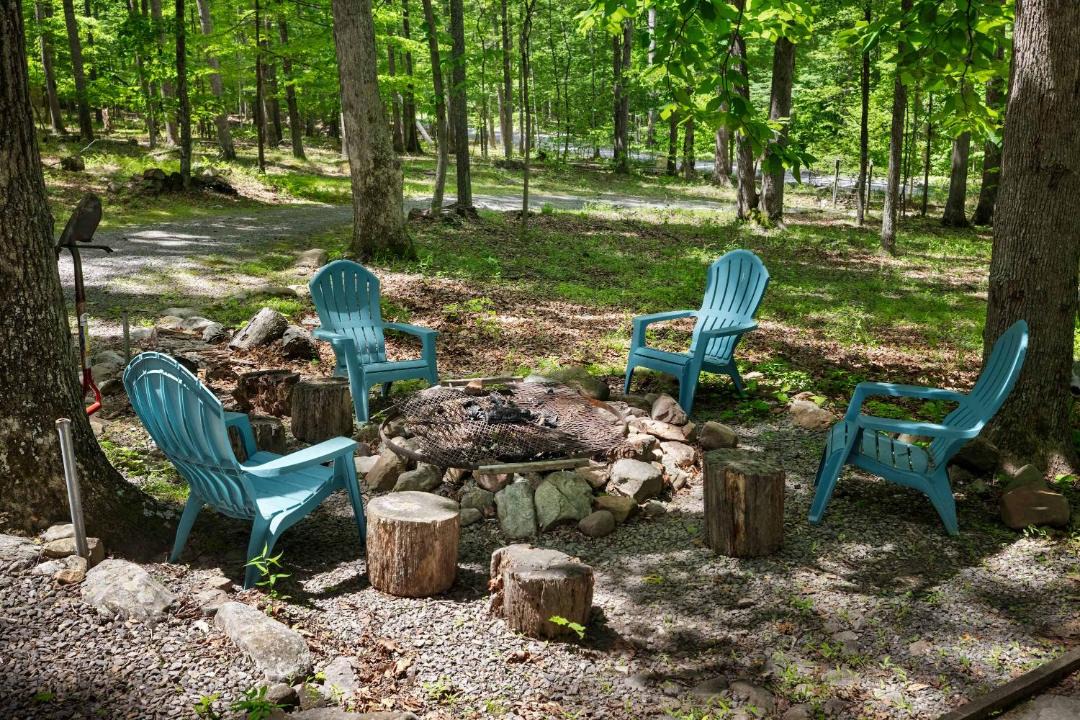 Photo of Others in Great Cacapon