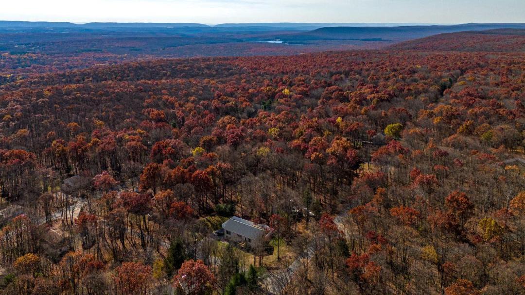 Photo of Others in Mount Pocahontas