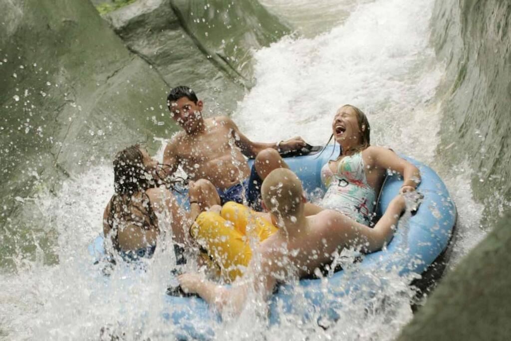 Photo of Others in Vernon