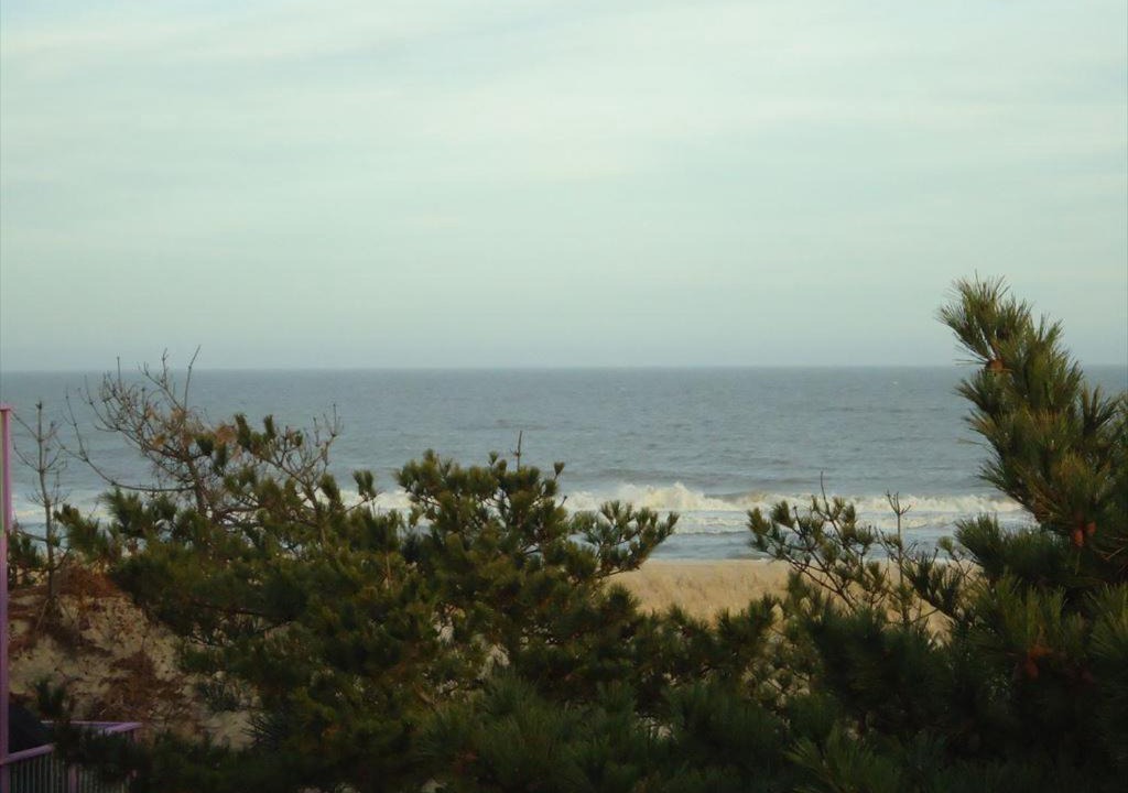 Photo of Others in North Beach Haven
