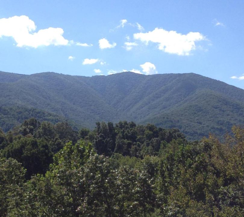 Photo of Others in Luray