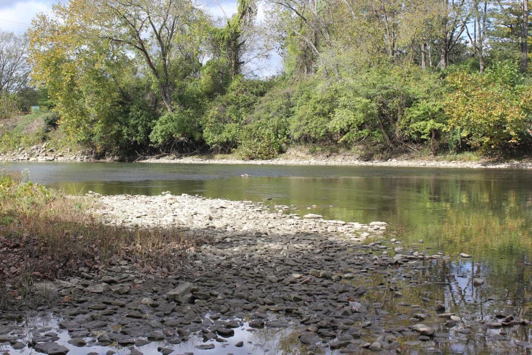 Photo of Others in Milford