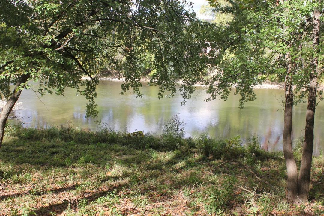 Photo of Others in Milford